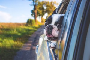 Uh oh! Why won’t my trunk open?