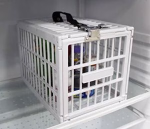 Unique Security Items You Might Want For Your Home, photo 4